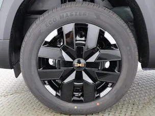 Dacia Spring Extreme