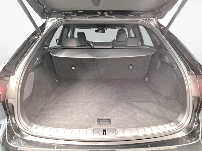 Fahrzeugbild LEXUS RX