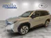 Subaru Forester 2.0i e-Boxer Luxury