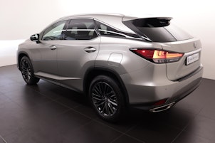 Vehicle image LEXUS RX 300 Special Edition