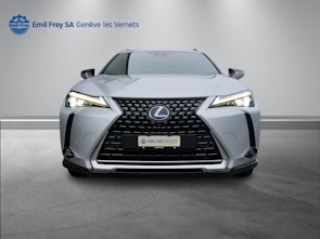 Vehicle image LEXUS UX 250h Excellence