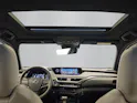 Lexus UX 250h Excellence