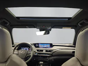 Lexus UX 250h Excellence