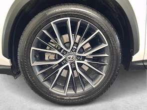 Fahrzeugbild LEXUS NX 450h+ Excellence