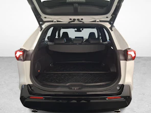 Fahrzeugbild TOYOTA RAV4 2.5 Plug-In-Hybrid Platinum
