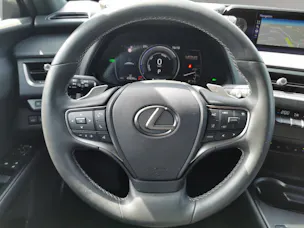 Lexus UX 300e Excellence