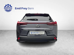 Fahrzeugbild LEXUS UX 250h Comfort
