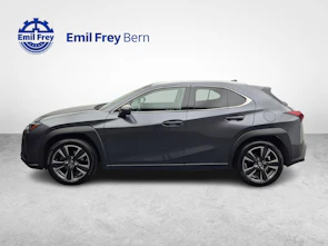 Fahrzeugbild LEXUS UX 250h Comfort