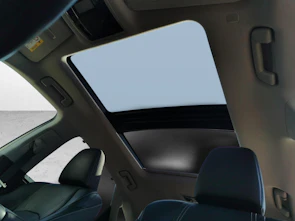 Fahrzeugbild LEXUS RX 450h Excellence