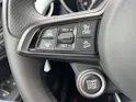Alfa Romeo Stelvio 2.0 Q4 280 Veloce Sky