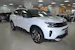 Citroën C5 Aircross 1.6 Plug-in Hybrid Swiss Edition