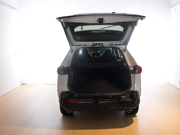 Toyota RAV4 2.5 Plug-In-Hybrid Trend