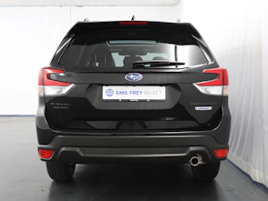 immagine del veicolo SUBARU Forester Station 2.0i e-Boxer Black Edition