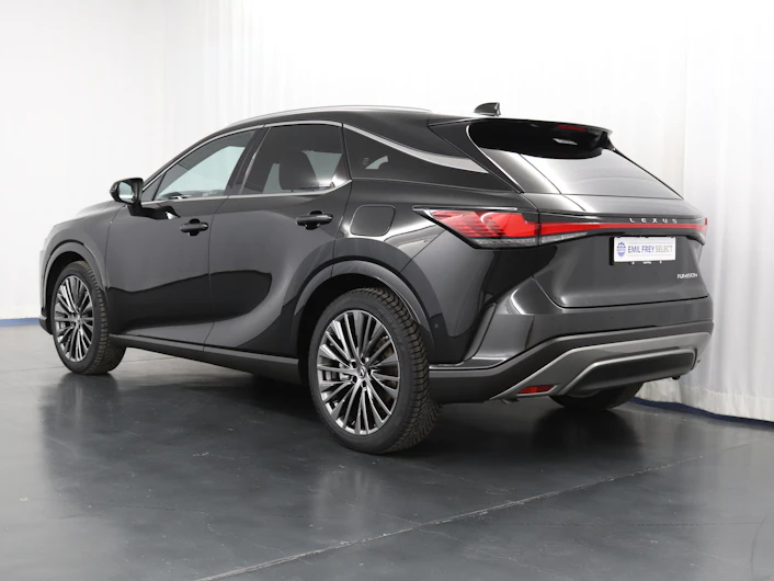 Fahrzeugbild LEXUS RX