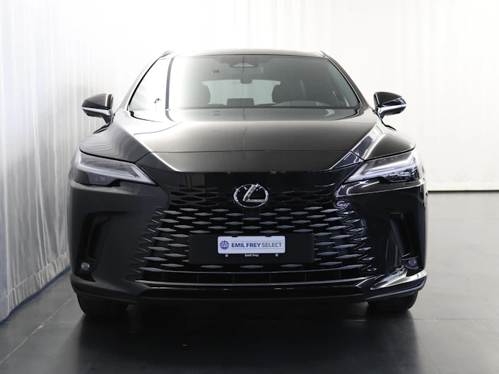 Fahrzeugbild LEXUS RX