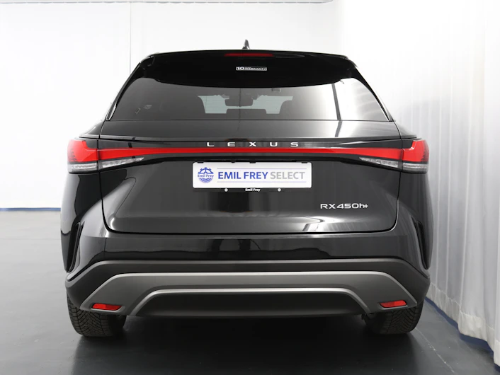 Fahrzeugbild LEXUS RX