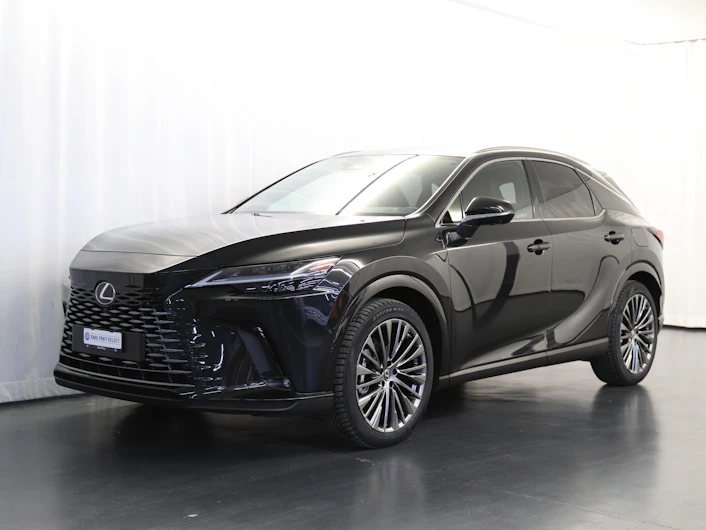Fahrzeugbild LEXUS RX