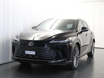 Fahrzeugbild LEXUS RX 450h+ Excellence