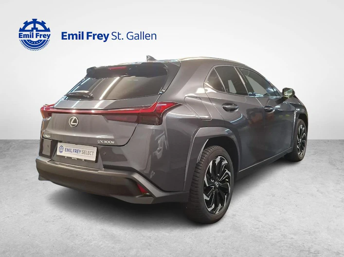 Fahrzeugbild LEXUS UX