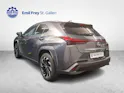 Lexus UX 300e Excellence