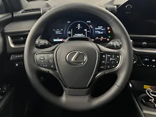 Lexus UX 300h Excellence