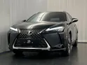 Lexus UX 300h Excellence