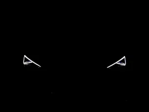 Cupra Leon ST 1.5 eTSI ACT DSG