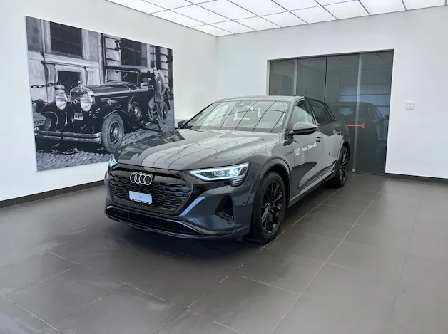 Audi Q8 55 e-tron advanced quattro