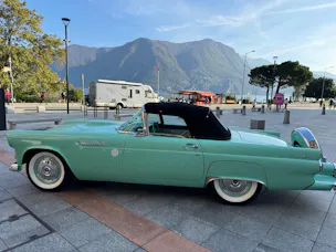 Ford Thunderbird 4.8