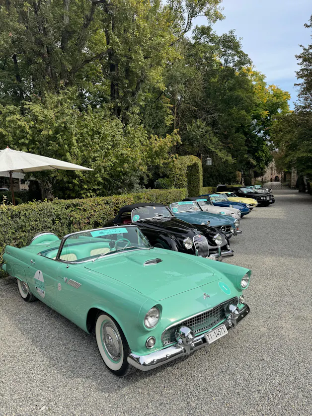 Ford Thunderbird 4.8