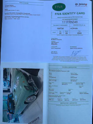 Ford Thunderbird 4.8