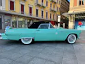Ford Thunderbird 4.8