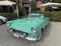 Ford Thunderbird 4.8