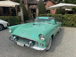 Ford Thunderbird 4.8
