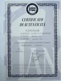Lancia Convertibile Vignale 307