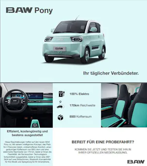 BAW PONY