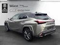 Lexus UX 300h F-Sport