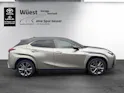 Lexus UX 300h F-Sport