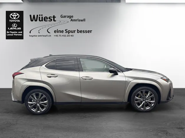 Lexus UX 300h F-Sport