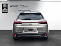 Lexus UX 300h F-Sport