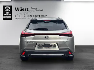 Lexus UX 300h F-Sport