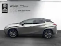 Lexus UX 300h F-Sport