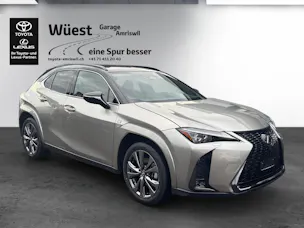 Lexus UX 300h F-Sport