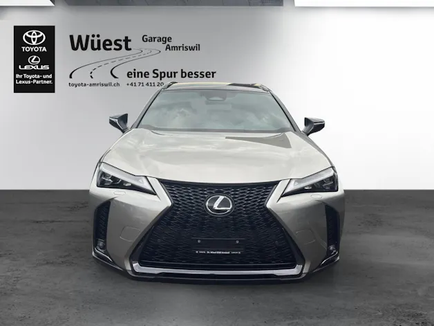 Lexus UX 300h F-Sport