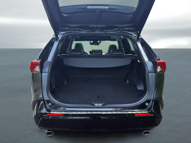 Toyota RAV4 2.5 Plug-In-Hybrid Platinum