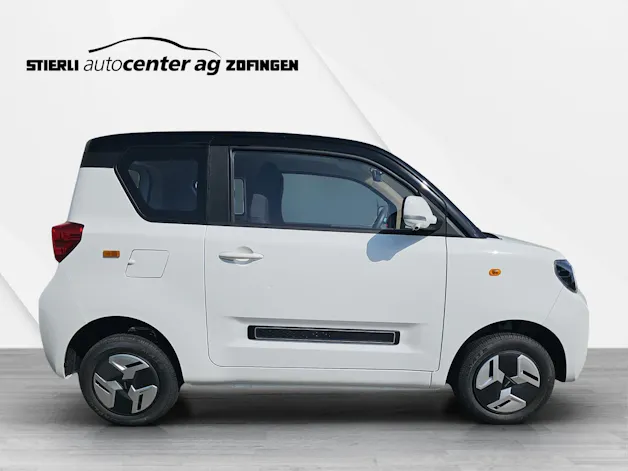 BAW Pony Electric