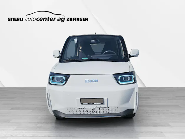 BAW Pony Electric