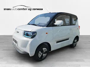 BAW Pony Electric