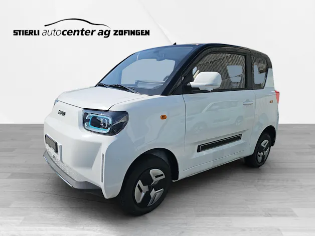 BAW Pony Electric
