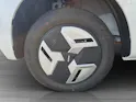 BAW Pony Electric